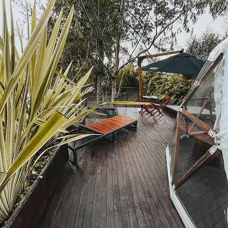 Hotel Domus Glamping Guatapé Zewnętrze zdjęcie