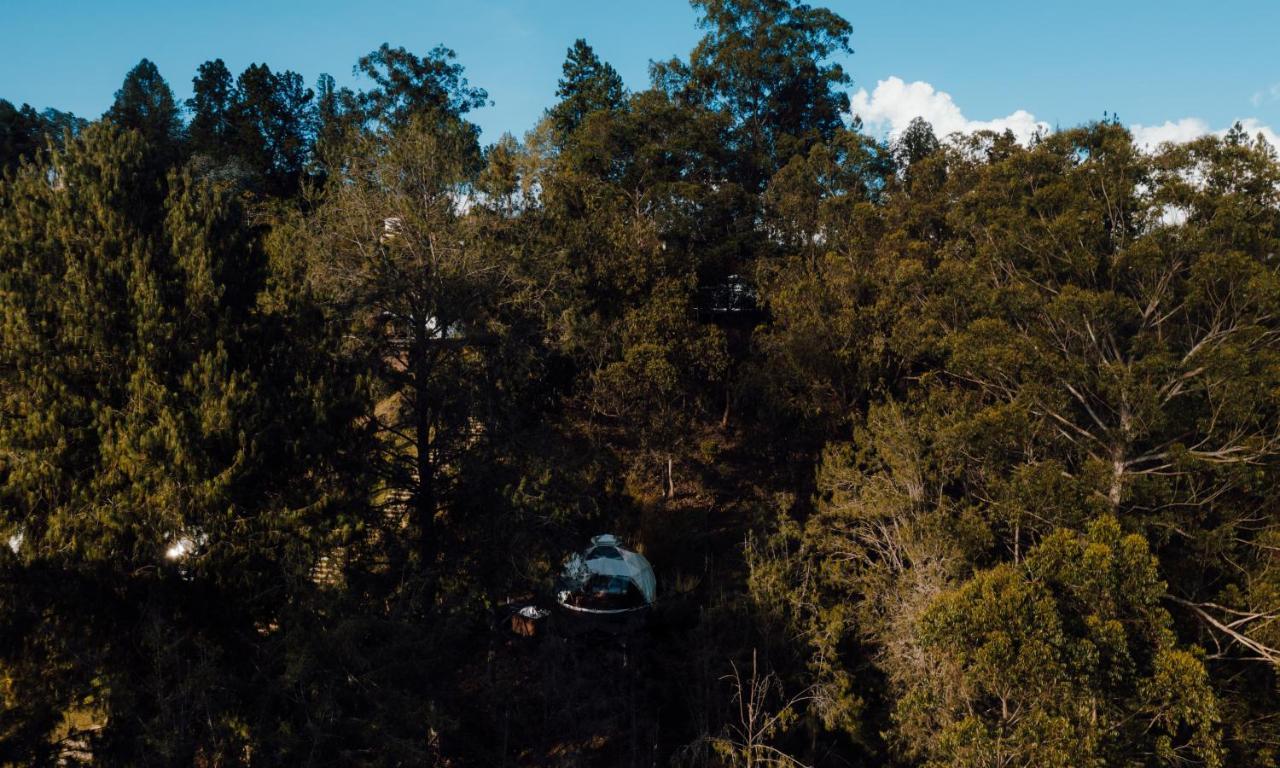 Hotel Domus Glamping Guatapé Zewnętrze zdjęcie
