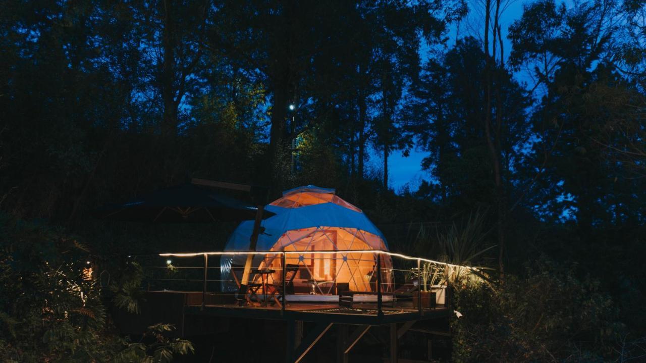 Hotel Domus Glamping Guatapé Zewnętrze zdjęcie